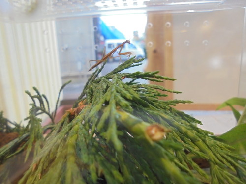 DSC00261.jpgのサムネイル画像