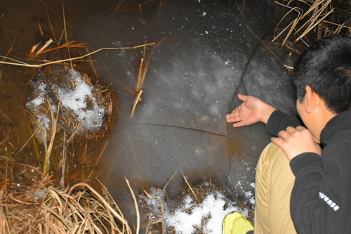 201902DSC_5938.jpgのサムネイル画像