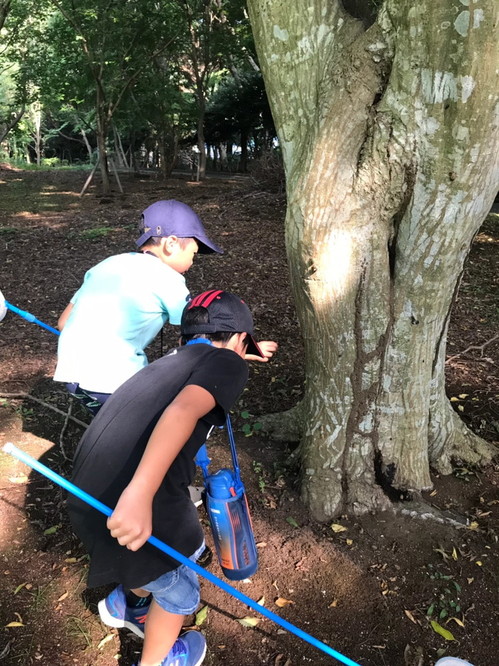 2019072019730_190804_0031.jpgのサムネイル画像